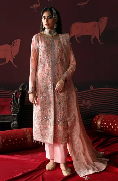 embroidered hand made front with organza embroidered dupatta palo border by emaan adeel, Pink