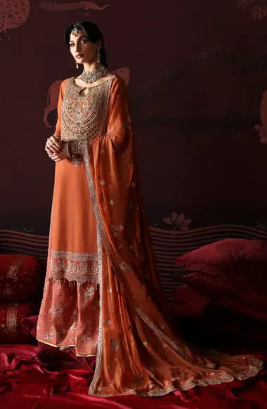 embroidered hand made front with chiffon embroidered dupatta paloo border by emaan adeel, DarkOrange