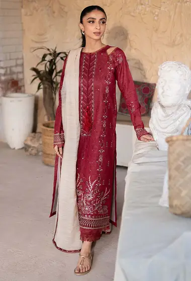 Embroidered Front Slub Dupatta by HUMDUM, Red