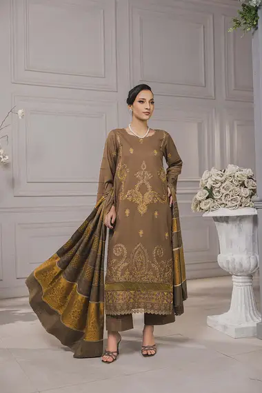 Embroidered Dhanak Front And Jacquard Woolen Shawl D10 by PURI FABRICS, Brown